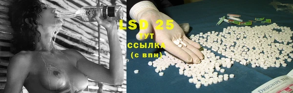 молекула духа Михайловка