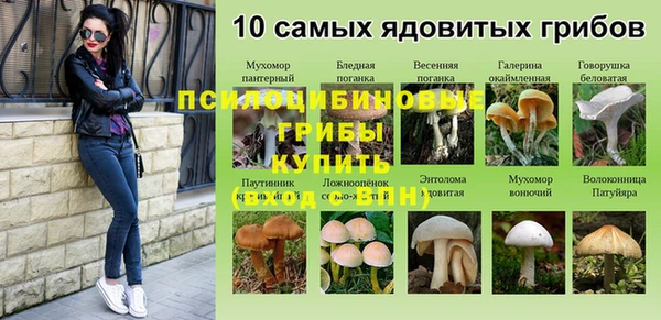 не бодяженный Михайлов