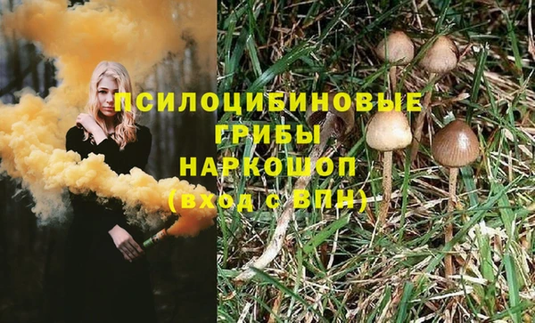 молекула духа Михайловка