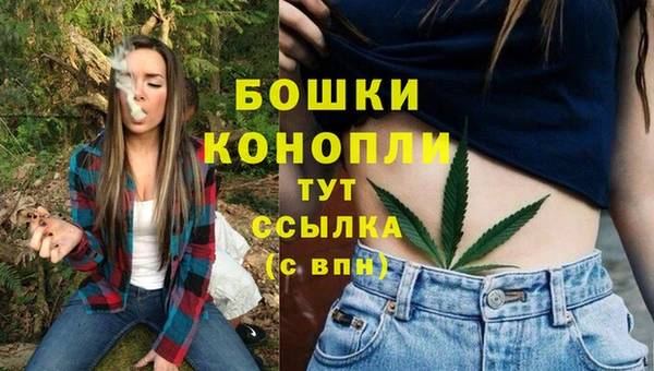 молекула духа Михайловка
