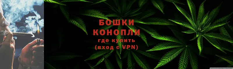 что такое   Полярные Зори  Шишки марихуана OG Kush 